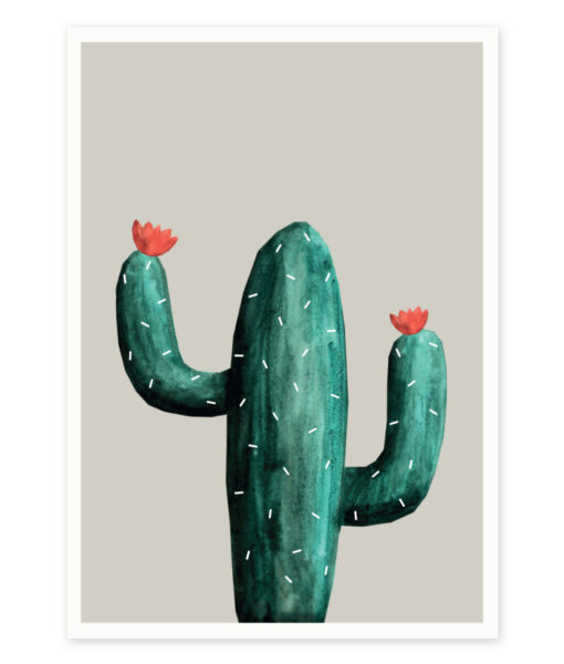 kaktus-mexico-a4
